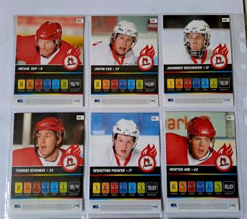2008_09_DEL Cards Trade Play 01_hinten_Ralf Wank