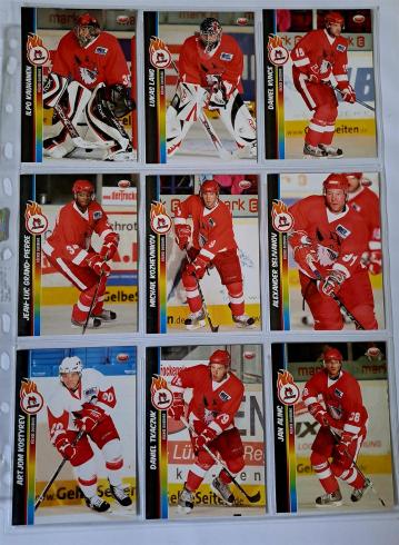 2008_09_DEL Cards Trade Play 02_vorne_Ralf Wank