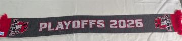 2025_26_PlayOff Schal_vorne_Daniela Remy