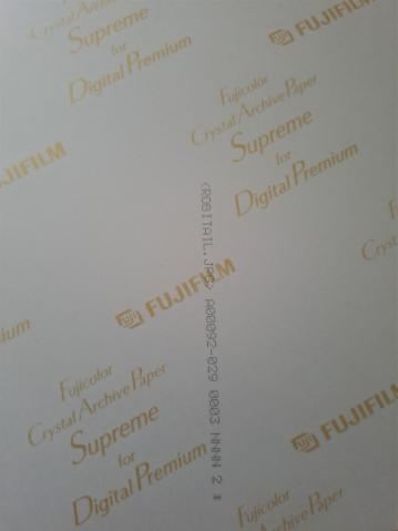 2005_06_Stephane Robitaille_hinten_Ralf Wank